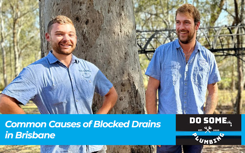 Common Causes of Blocked Drains in Brisbane