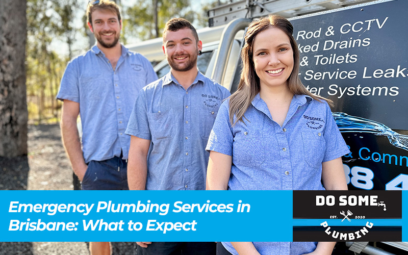 Top 10 Plumbing Issues in Brisbane Homes