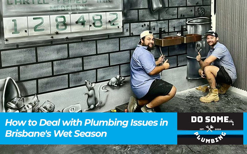 How to Deal with Plumbing Issues in Brisbane's Wet Season