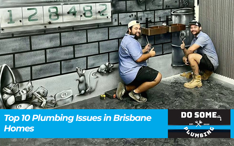 Top 10 Plumbing Issues in Brisbane Homes